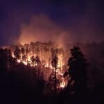 Fire Near Halsey 55% Contained With No Growth; Resources Being Released - UPDATED