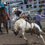 Harrison's Meidell Sits 4th In Saddle Bronc At NHSFR