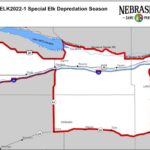 Special Elk Depredation Season Designated In Southwest Nebraska