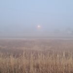 Fog in Chadron
