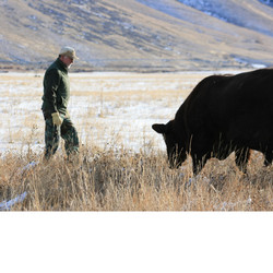 All Things Grazing – The Practical Application of the Science and Art of Grazing Management