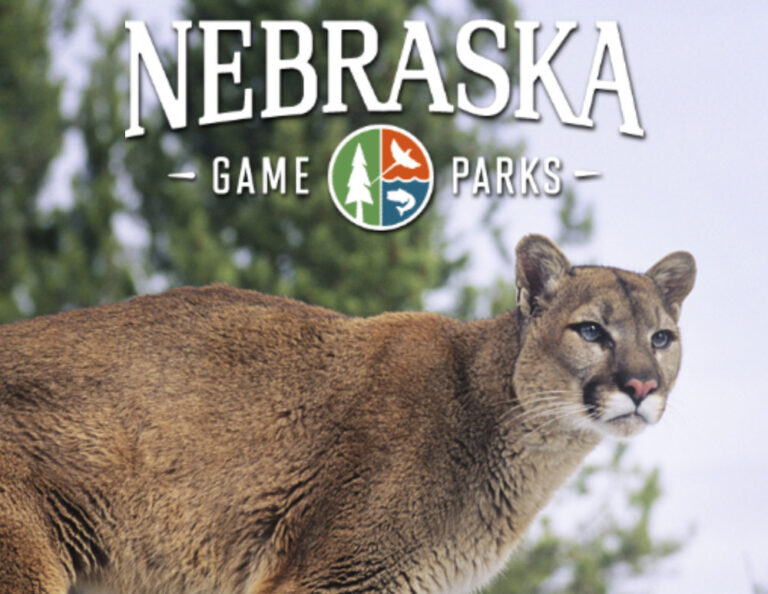 Commissioners Approve a 2025 Mountain Lion Season – KCSR / KBPY