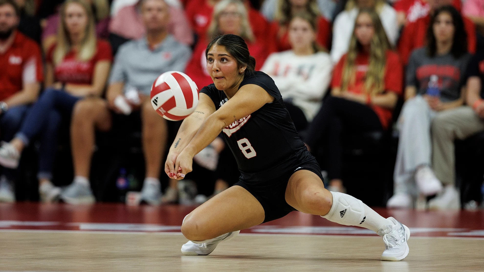 Rodriguez Named Finalist for AVCA National Player of the Year KCSR / KBPY